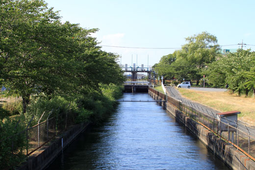 菖蒲町・見沼代用水