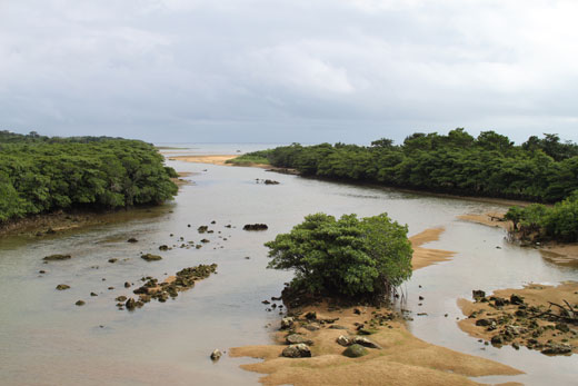 石垣島・宮良川