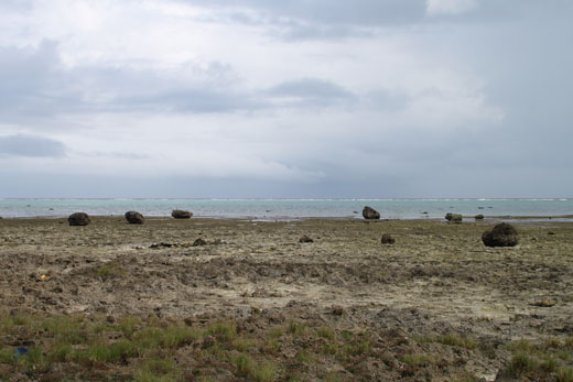 石垣島・白保海岸