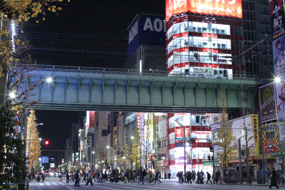 夜の秋葉原　その19