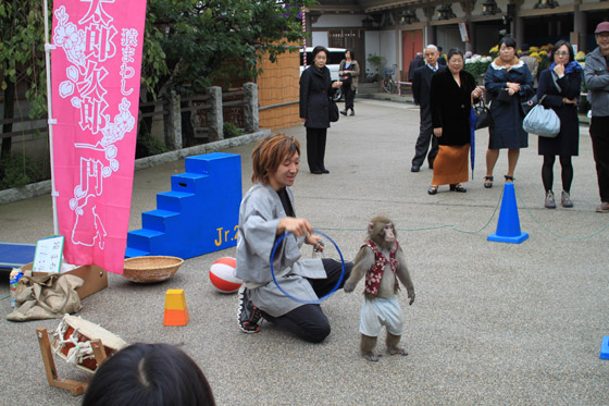 湯島天神・猿回し