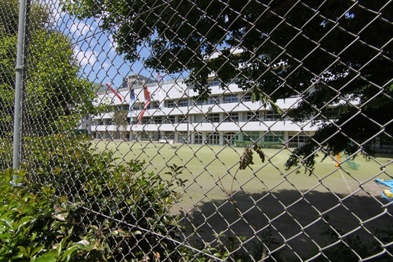 校庭よりの湯島小学校