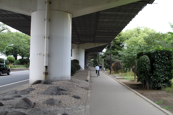 隅田川東岸・旧墨堤