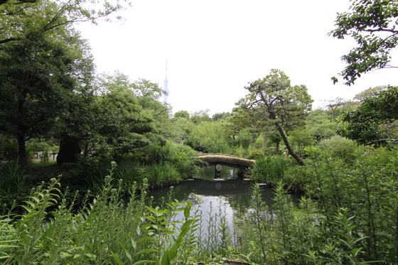 向島百花園、園内　その二