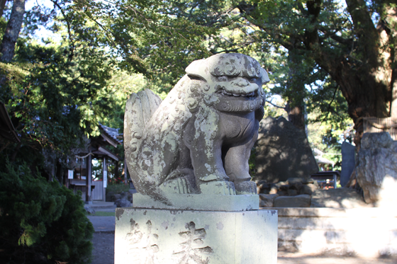 鶴谷八幡宮の狛犬