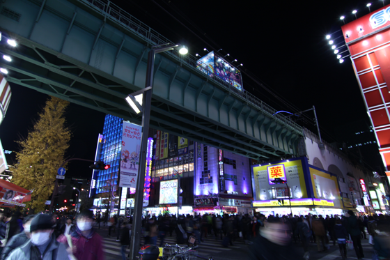 夜の秋葉原2013