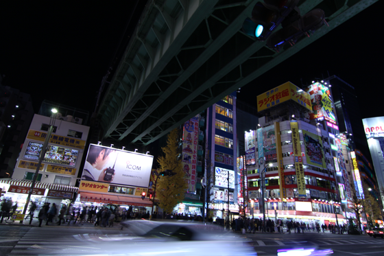 夜の秋葉原2013