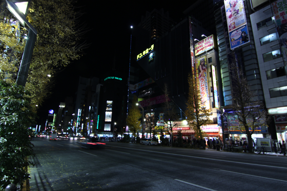 夜の秋葉原2013