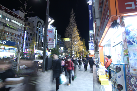 夜の秋葉原2013