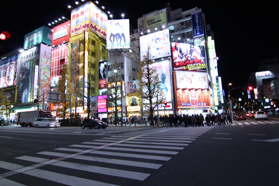 夜の秋葉原2013