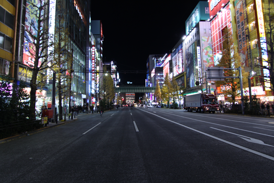 夜の秋葉原2013