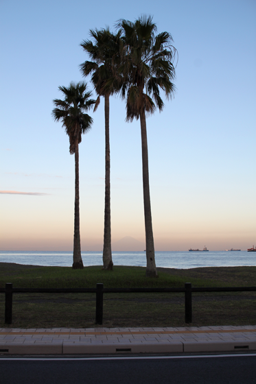 館山の海岸（早朝）