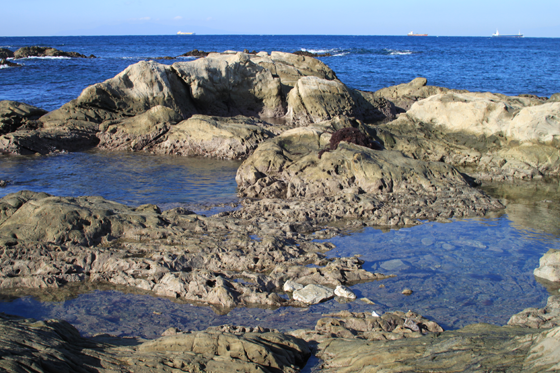 洲崎岬の海岸